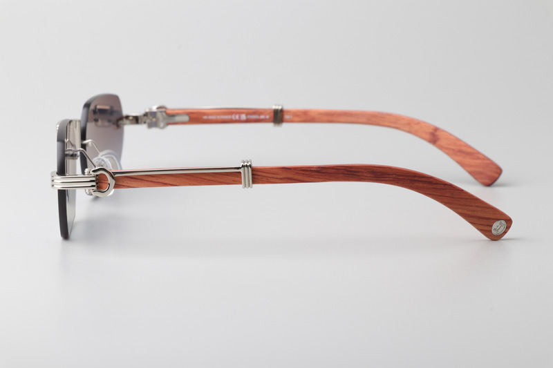 CT0362S Sunglasses Silver Red Gradient Gray