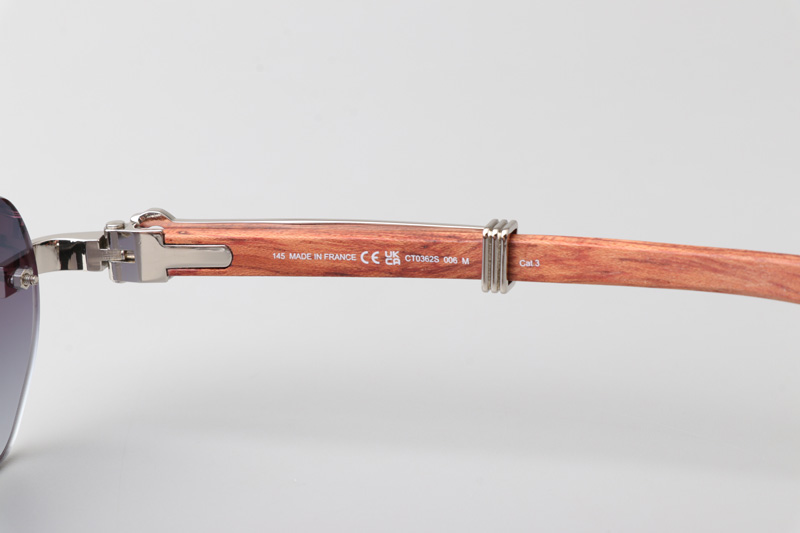 CT0362S Sunglasses Silver Red Gradient Gray