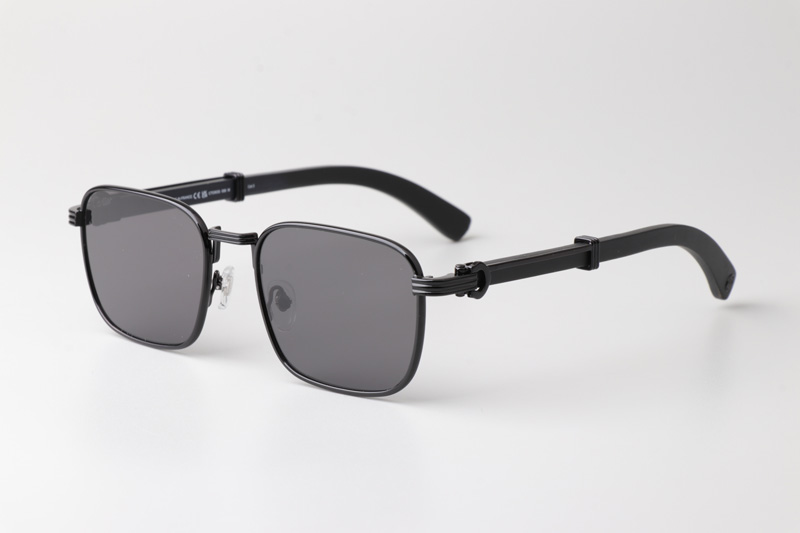 CT0363S Sunglasses Black Black Gray