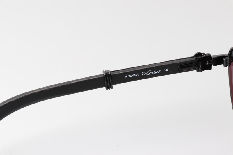 CT0363S Sunglasses Black Black Gray