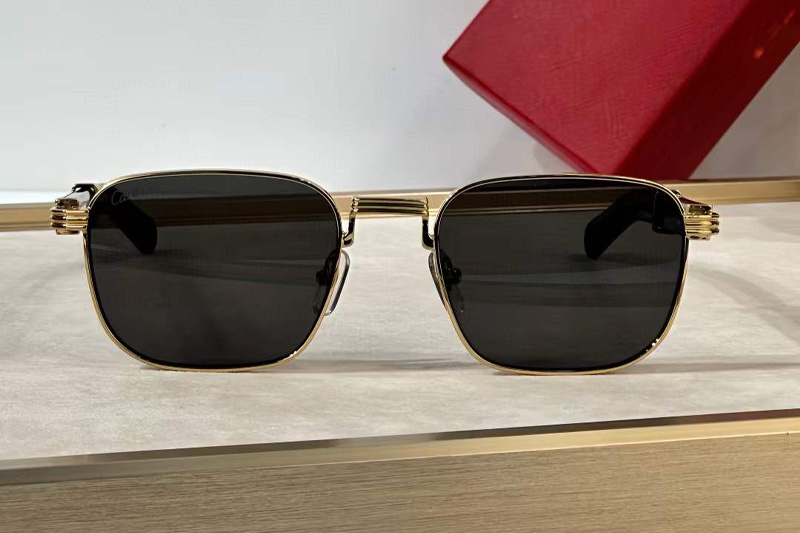 CT0363S Sunglasses Gold Black Gray