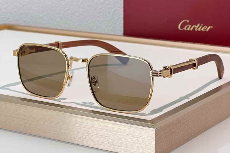 CT0363S Sunglasses Gold Red Brown