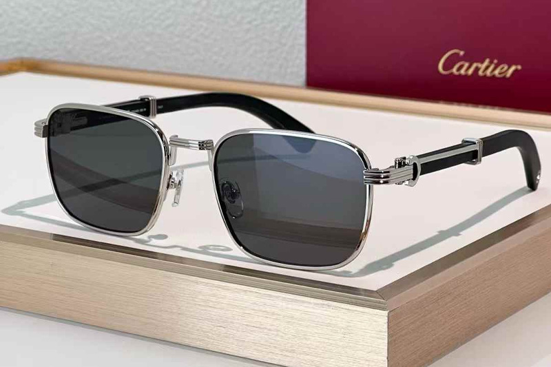 CT0363S Sunglasses Silver Black Gray
