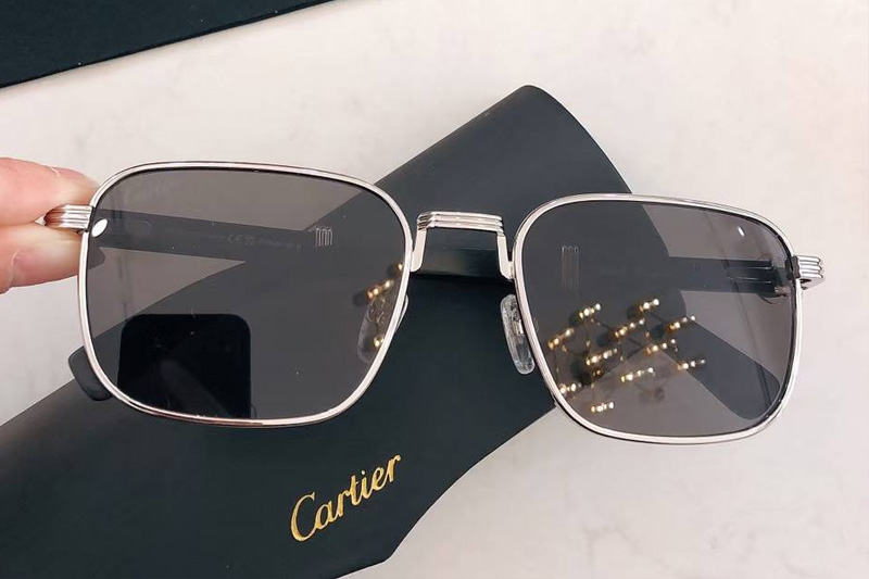 CT0363S Sunglasses Silver Black Gray