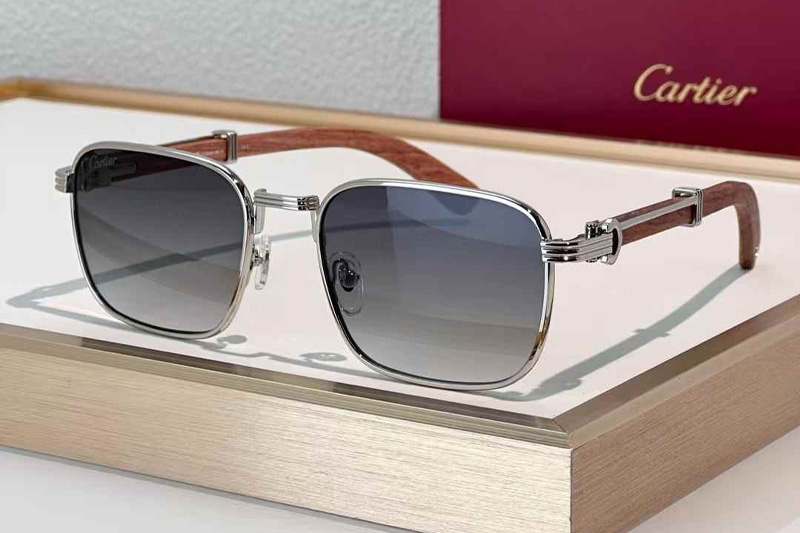 CT0363S Sunglasses Silver Red Gradient Gray