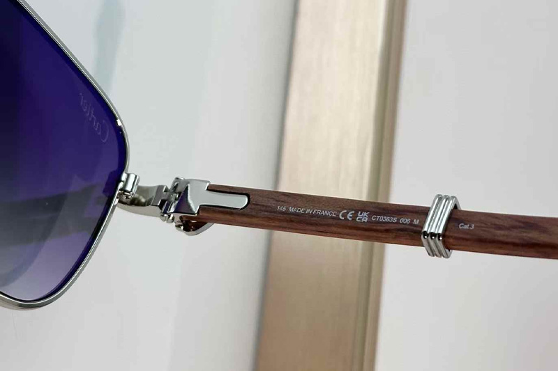 CT0363S Sunglasses Silver Red Gradient Gray