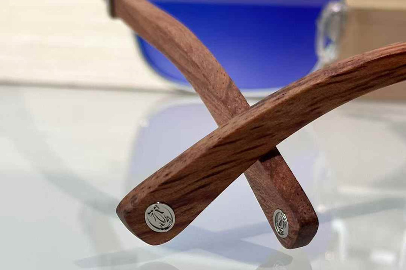 CT0363S Sunglasses Silver Red Gradient Gray