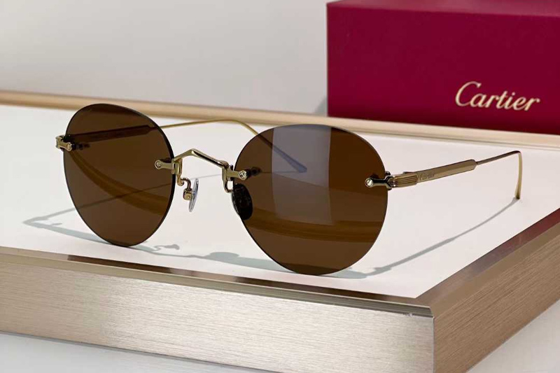 CT0393S Sunglasses Gold Brown