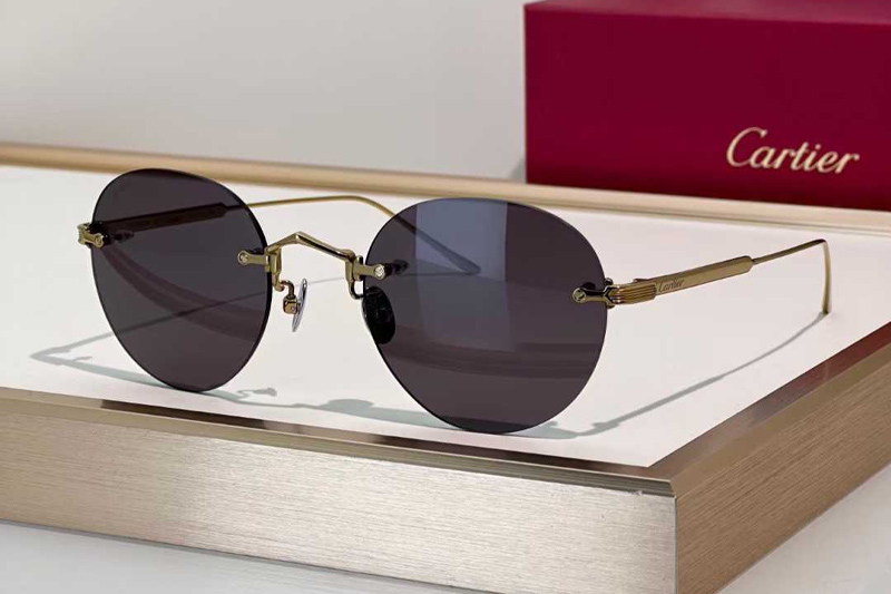 CT0393S Sunglasses Gold Gray