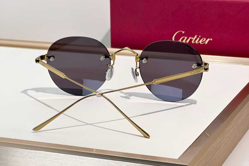 CT0393S Sunglasses Gold Gray