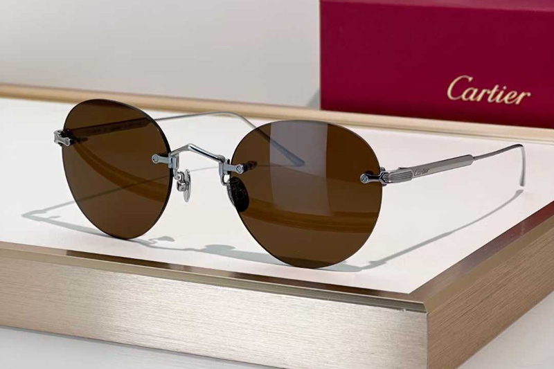 CT0393S Sunglasses Silver Brown