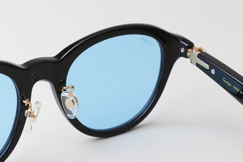 CT0395S Sunglasses Black Gold Blue