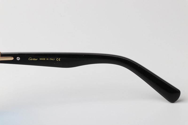 CT0395S Sunglasses Black Gold Blue