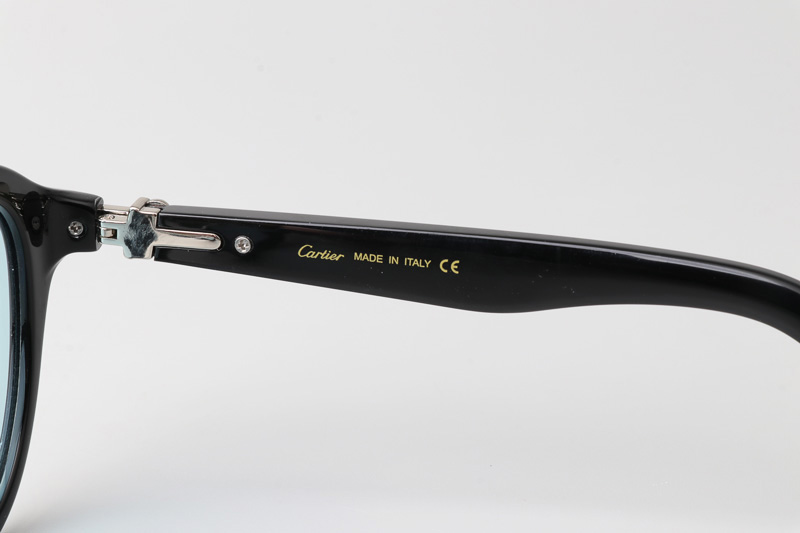 CT0395S Sunglasses Black Silver Blue