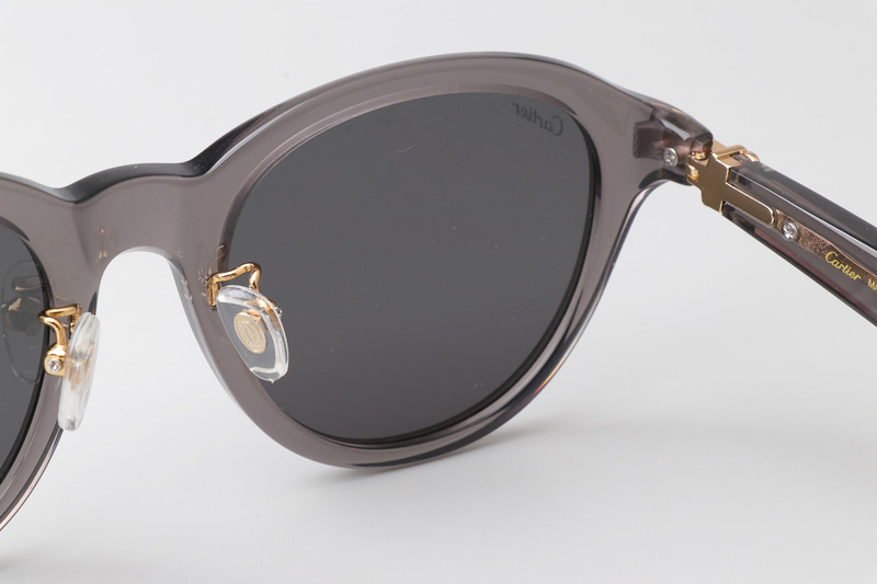 CT0395S Sunglasses Gray Gray