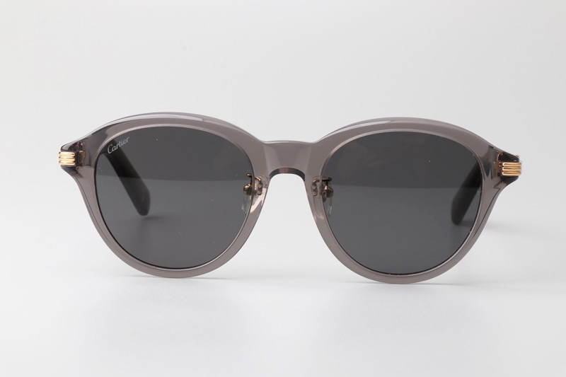 CT0395S Sunglasses Gray Gray