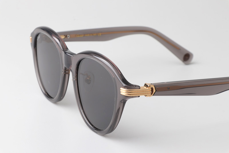 CT0395S Sunglasses Gray Gray