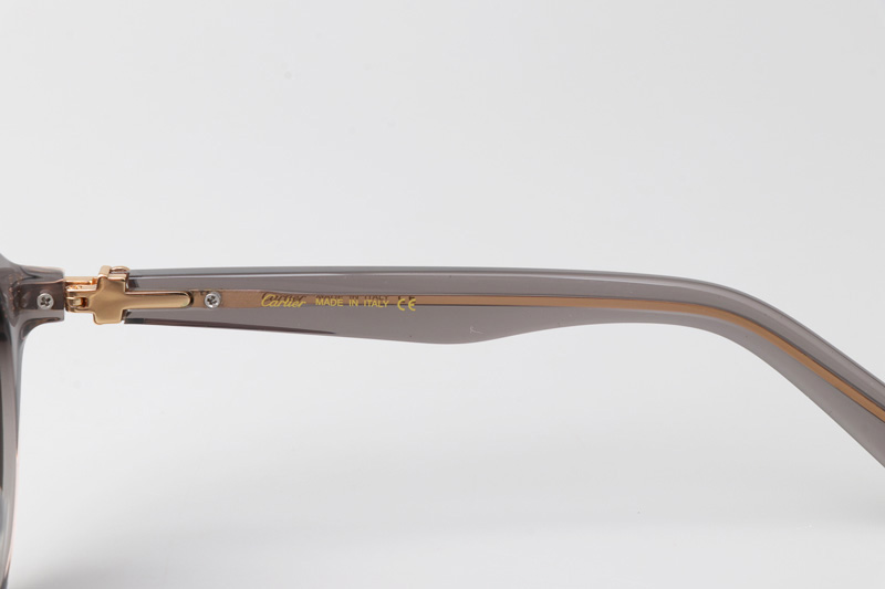 CT0395S Sunglasses Gray Gray