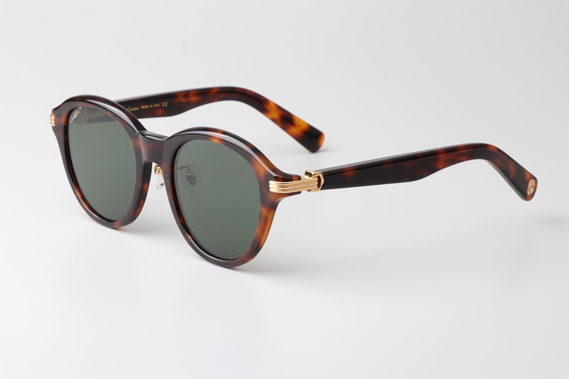 CT0395S Sunglasses Tortoise Green