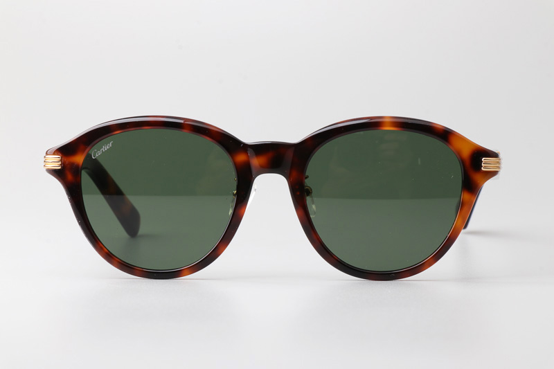 CT0395S Sunglasses Tortoise Green