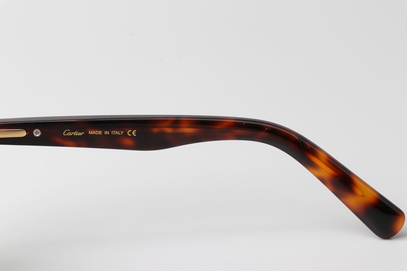 CT0395S Sunglasses Tortoise Green