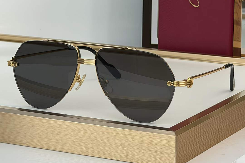 CT0427S Sunglasses Gold Gray