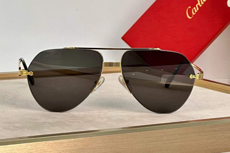 CT0427S Sunglasses Gold Gray