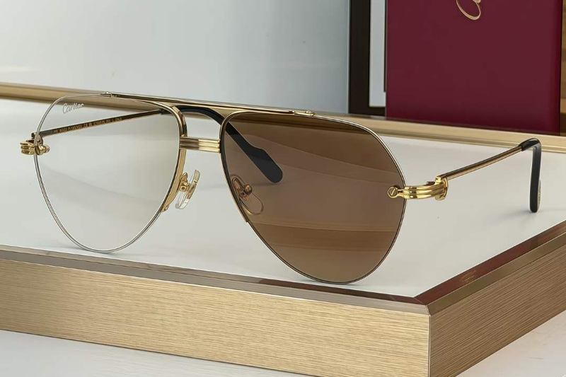 CT0427S Sunglasses Gold Photochromic Brown