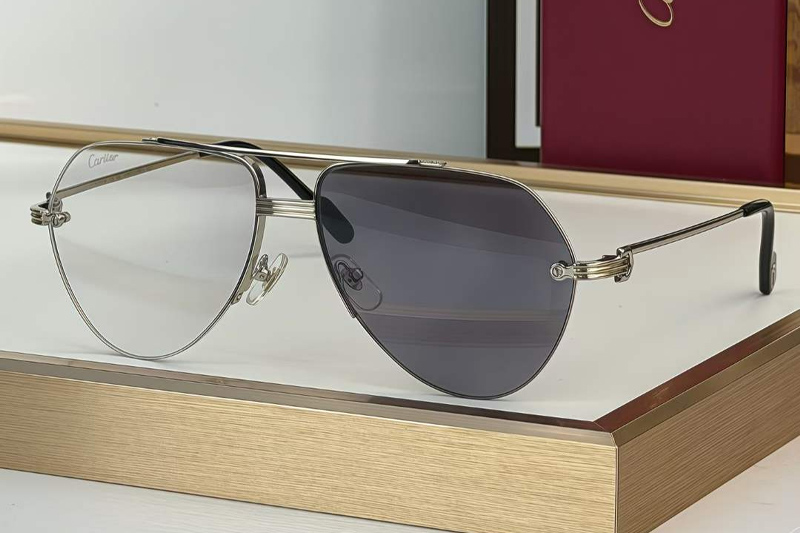 CT0427S Sunglasses Silver Photochromic Gray