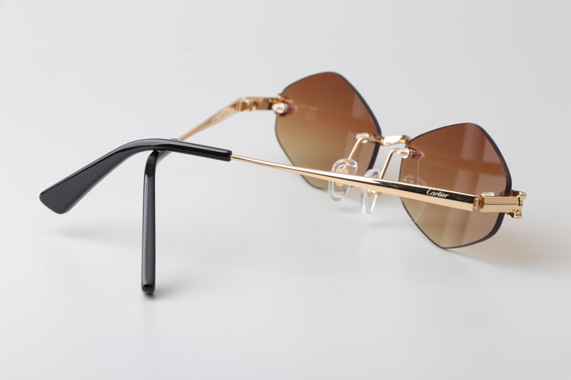 CT0433S Sunglasses Gold Brown