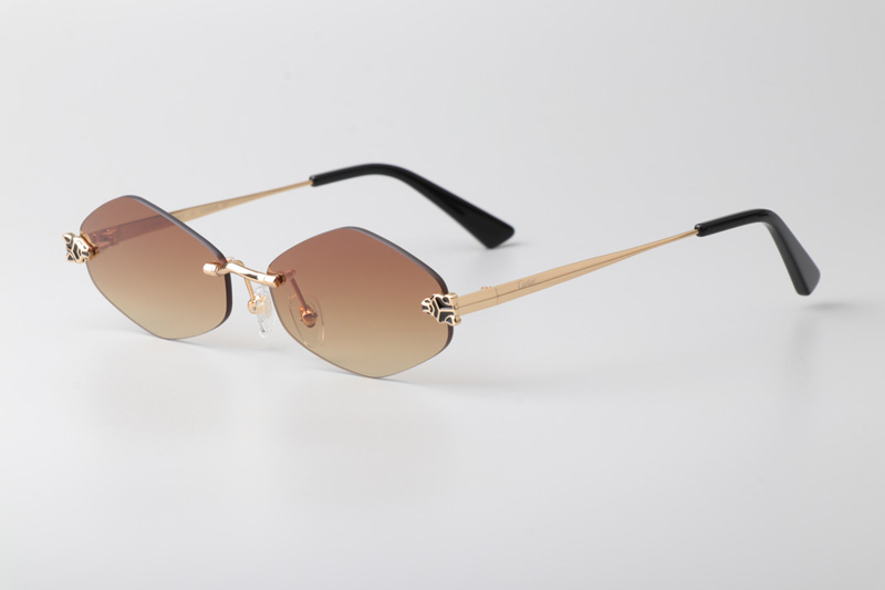 CT0433S Sunglasses Gold Brown