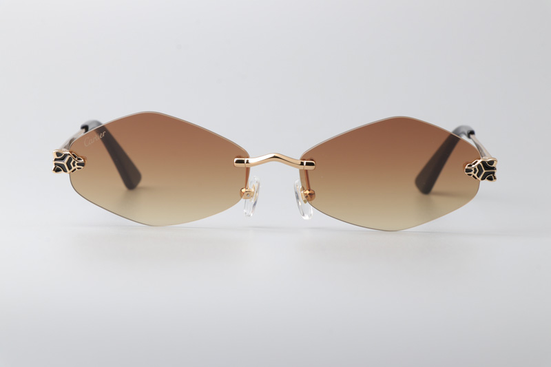 CT0433S Sunglasses Gold Brown