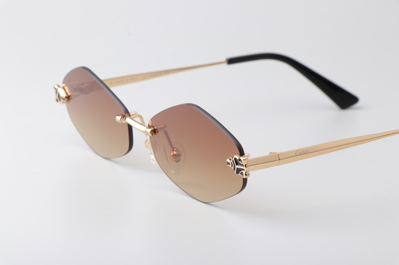 CT0433S Sunglasses Gold Brown