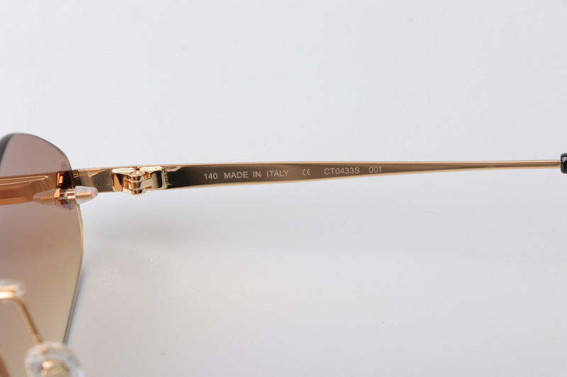 CT0433S Sunglasses Gold Brown