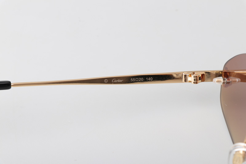 CT0433S Sunglasses Gold Brown