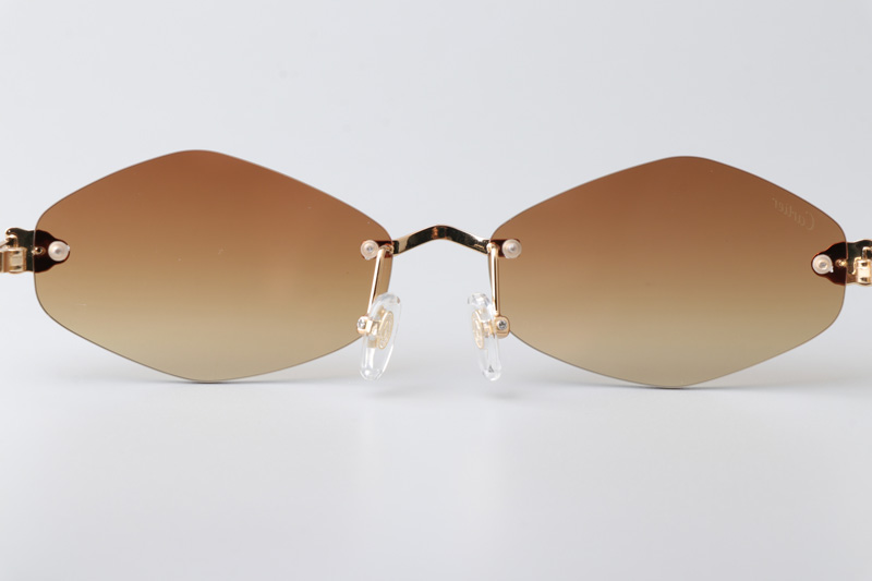 CT0433S Sunglasses Gold Brown