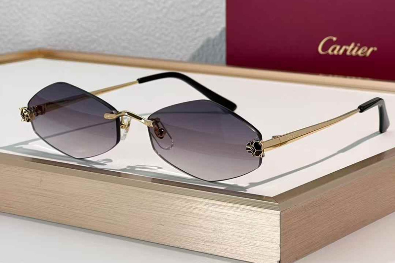 CT0433S Sunglasses Gold Gradient Gray