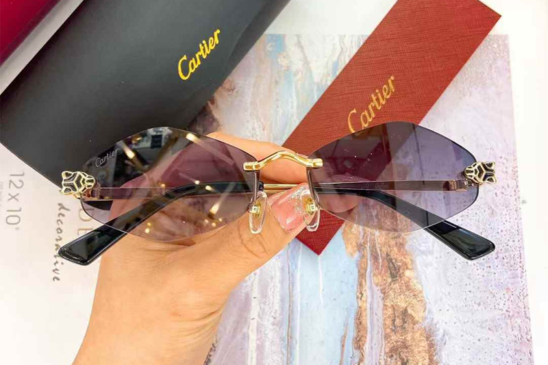 CT0433S Sunglasses Gold Gradient Gray