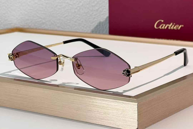CT0433S Sunglasses Gold Gradient Purple