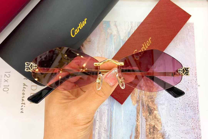 CT0433S Sunglasses Gold Gradient Purple