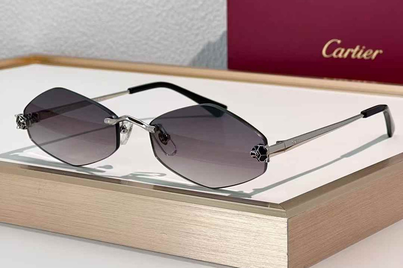CT0433S Sunglasses Silver Gradient Gray
