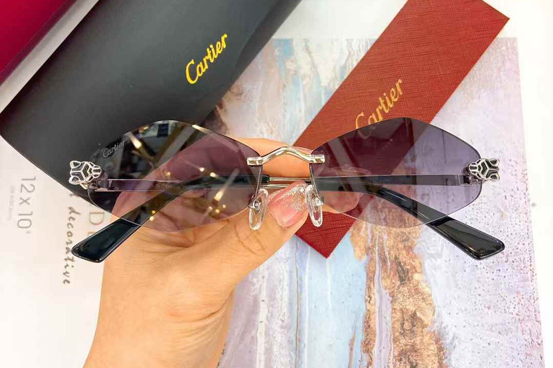 CT0433S Sunglasses Silver Gradient Gray