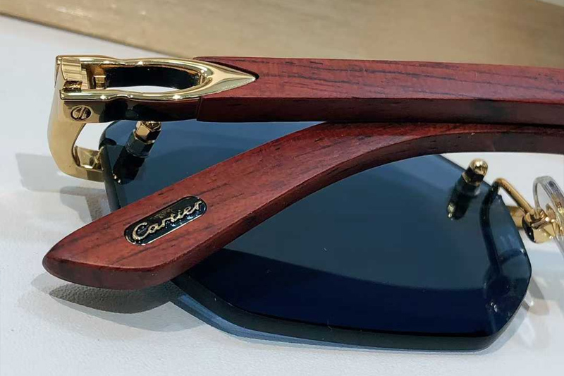 CT0439S Sunglasses Gold Blue