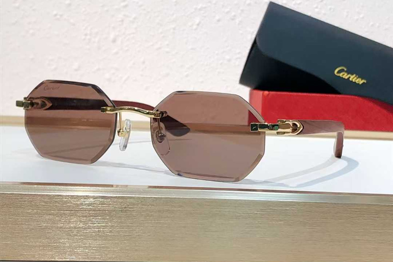 CT0439S Sunglasses Gold Brown