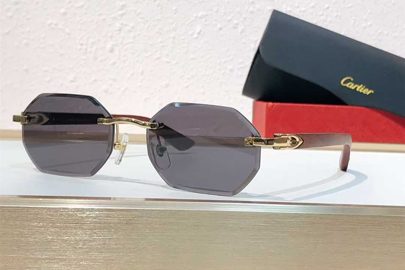 CT0439S Sunglasses Gold Gray