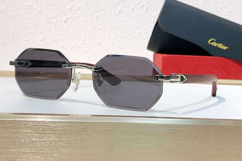 CT0439S Sunglasses Silver Gray