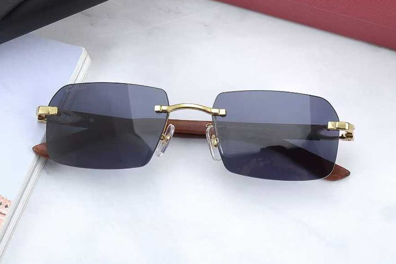 CT0453O Sunglasses Gold Blue