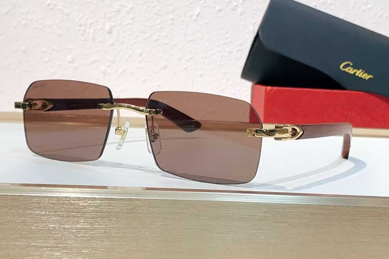 CT0453O Sunglasses Gold Brown