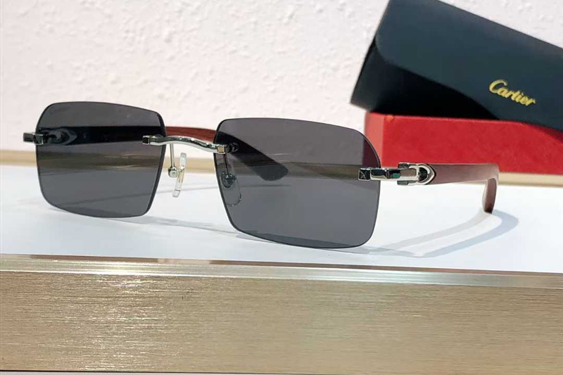 CT0453O Sunglasses Silver Gray