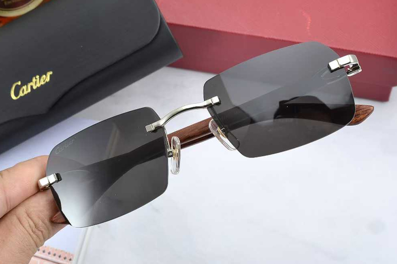 CT0453O Sunglasses Silver Gray